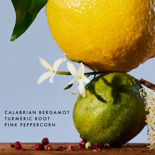 Fresh Take Laundry Detergent 3oz