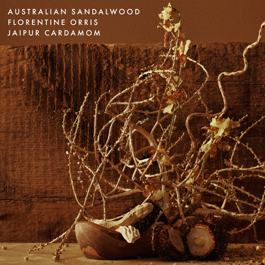 Soft Focus Laundry Detergent 3oz